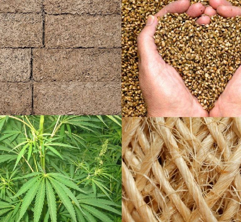 Bioedilizia, materiali naturali sostenibili in canapa, terra cruda, legno e argilla